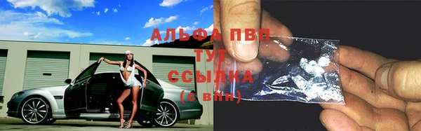 тгк Козельск