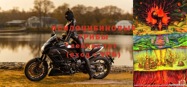 прущий лед Козловка