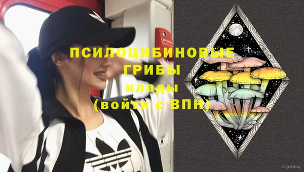первитин Кодинск