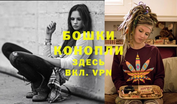 прущий лед Козловка