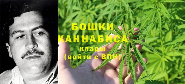 прущий лед Козловка