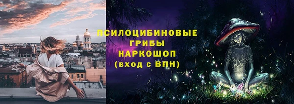 прущий лед Козловка