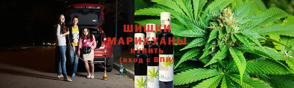 тгк Козельск
